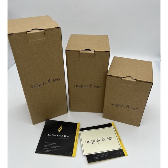 Luminara Accents Luminara August Leo Flameless Candle Set Of 3